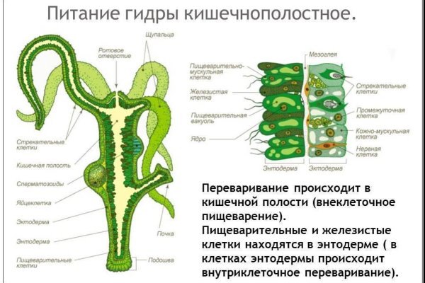 Сайт кракен kraken krakens15 at