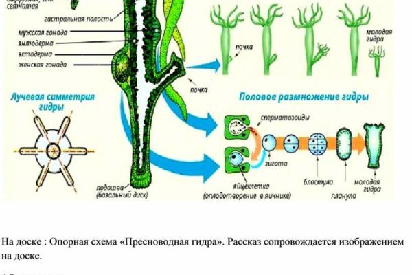 Кракен сайт 13at