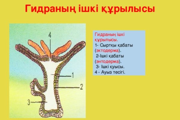 Кракен тор ссылка магазин